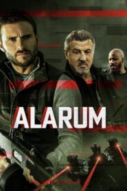 Alarum 2025 